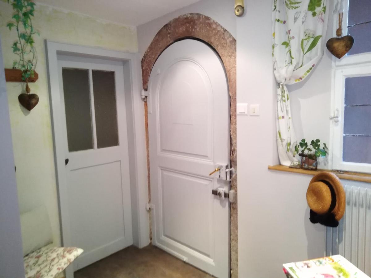 Le Baudinot Apartment Selestat Exterior photo