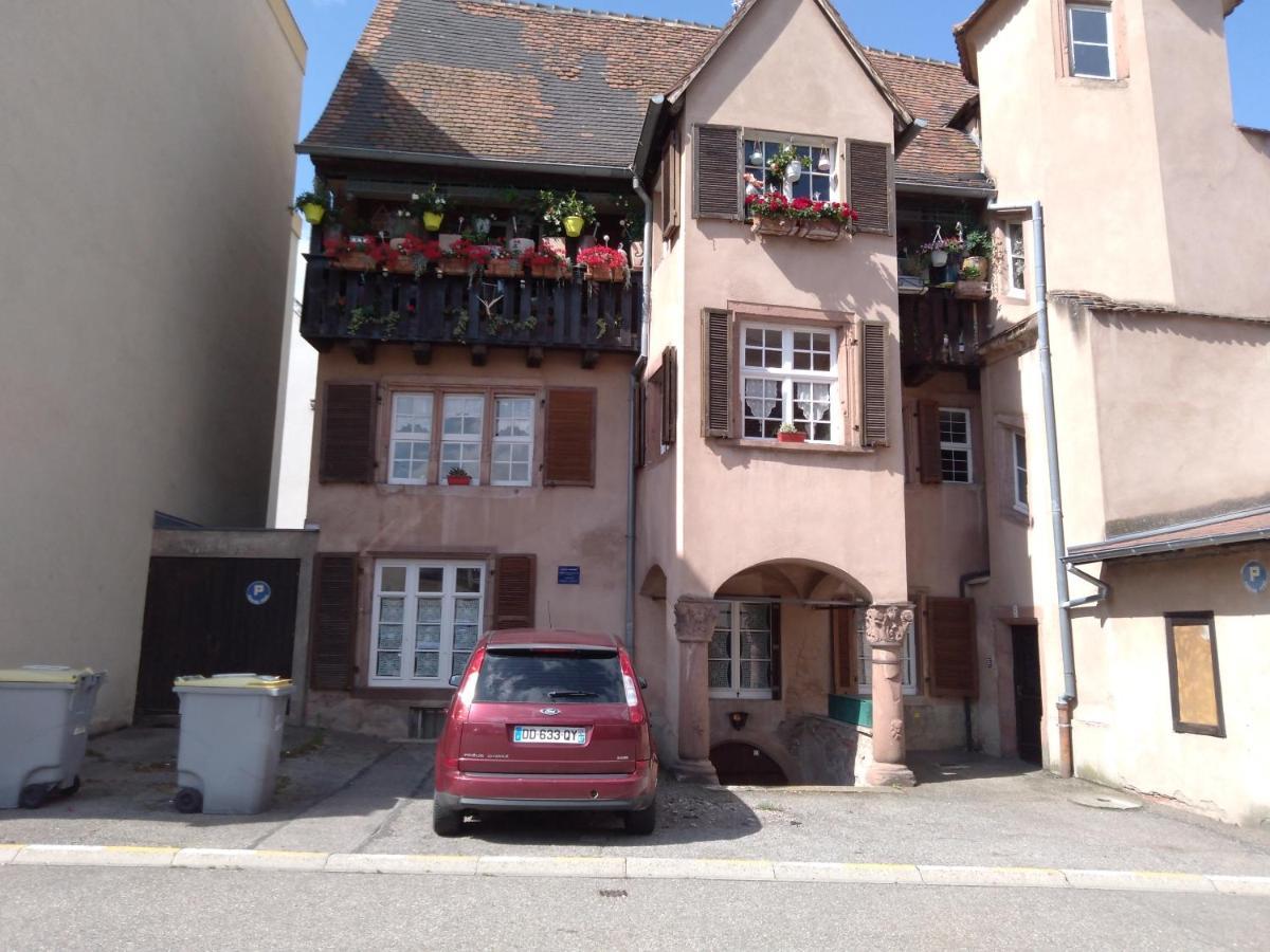 Le Baudinot Apartment Selestat Exterior photo